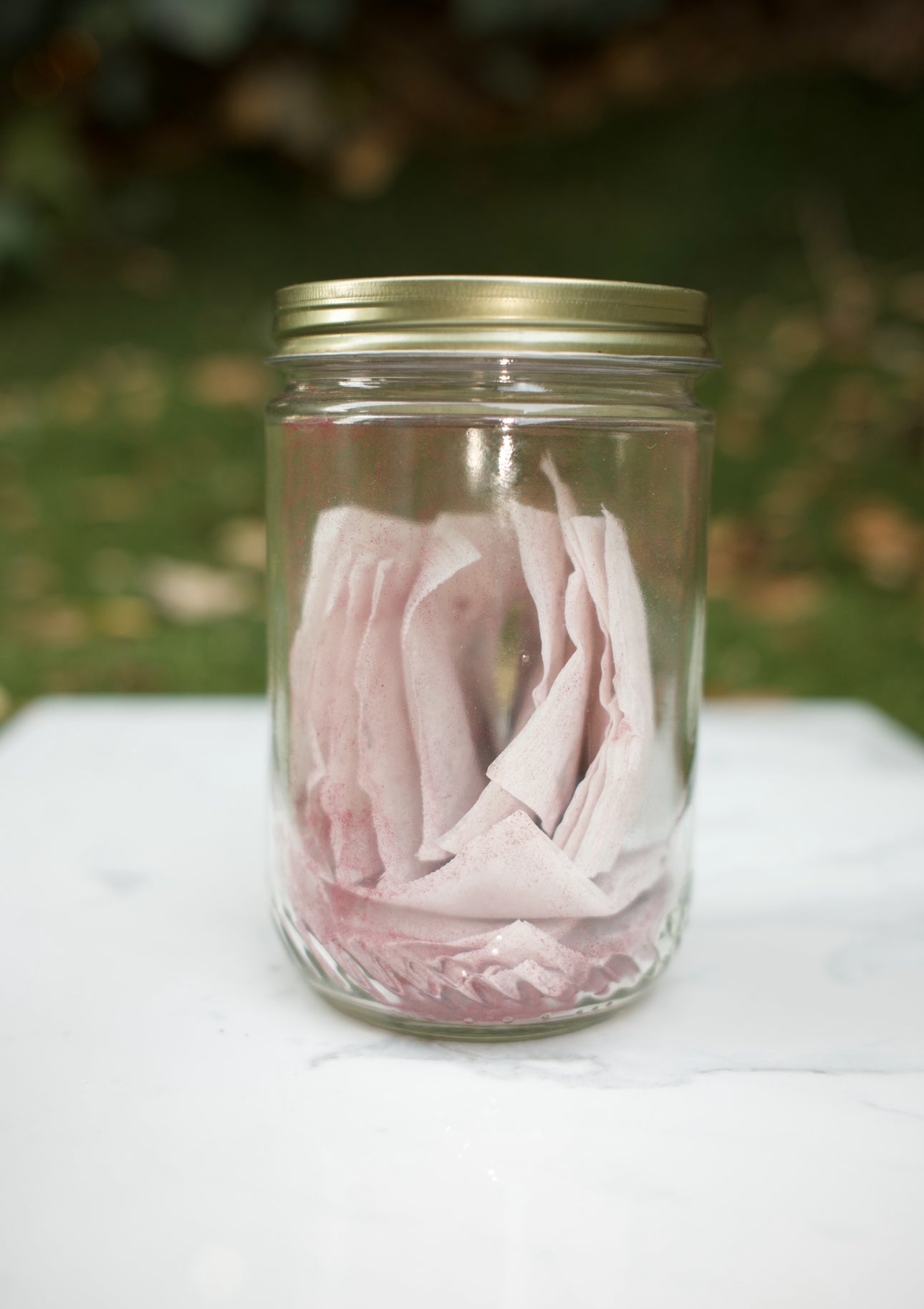 HIBISCUS BLEND ECO- FRIENDLY TEA BAGS